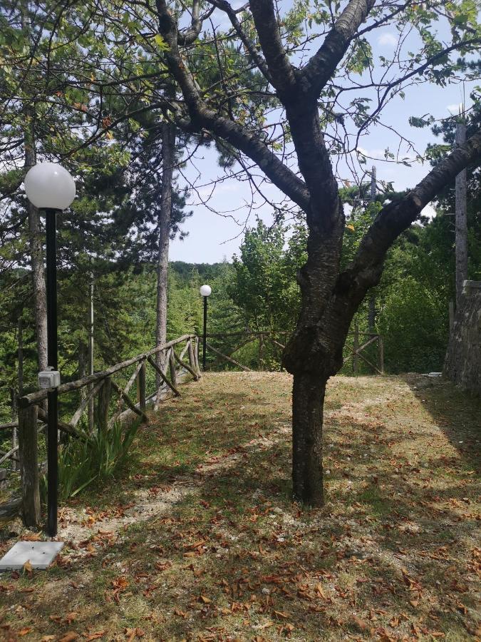 Poggio Eco B&B Ascoli Piceno Eksteriør bilde