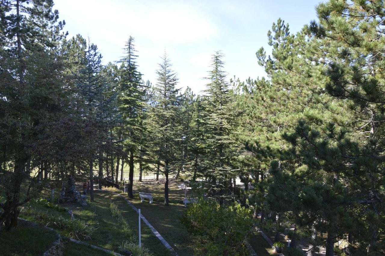 Poggio Eco B&B Ascoli Piceno Eksteriør bilde