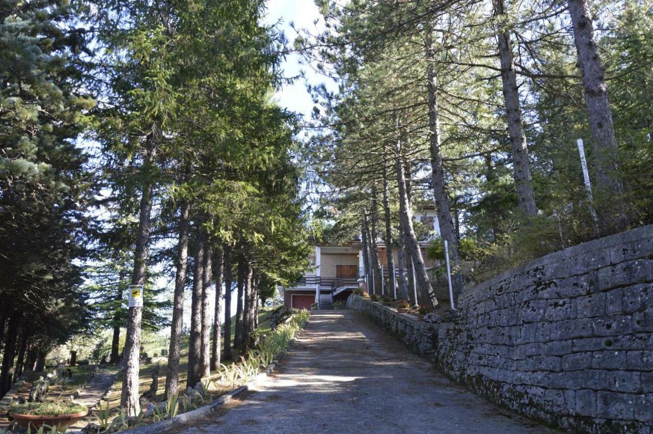 Poggio Eco B&B Ascoli Piceno Eksteriør bilde