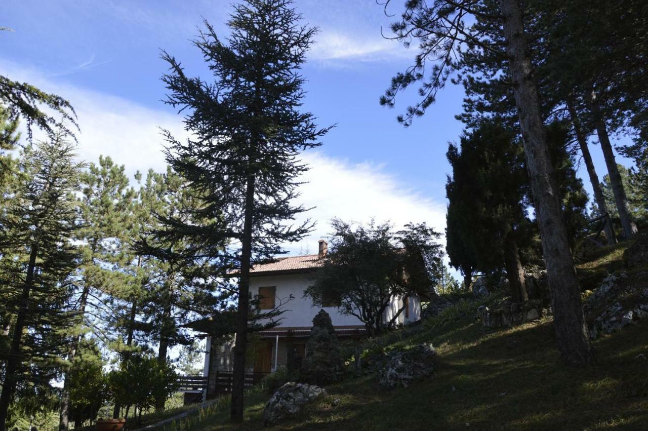 Poggio Eco B&B Ascoli Piceno Eksteriør bilde